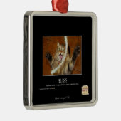 Blickwinkel Silbernes Ornament (Rechts)