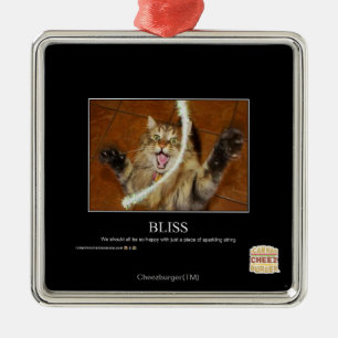 Blickwinkel Silbernes Ornament