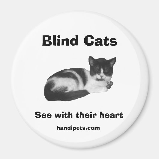 Blind Cat Magnet (Vorne)