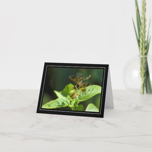 Blindanmerkarte für Dragonfly Karte (Vorderseite)