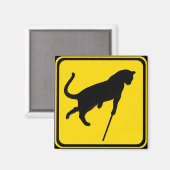 Blinde Katzen überqueren! Magnet (Vorderseite/Rückseite)
