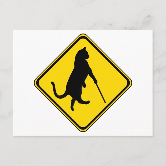 Blinde Katzen überqueren! Postkarte (Vorderseite)