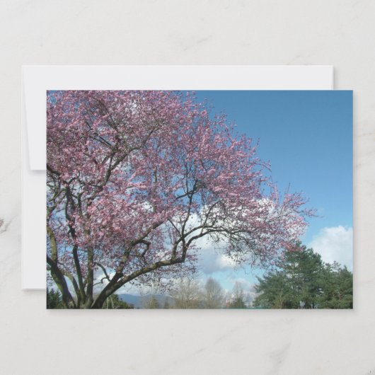 Blindeinladung, Kirschblühen Einladung (Rückseite)