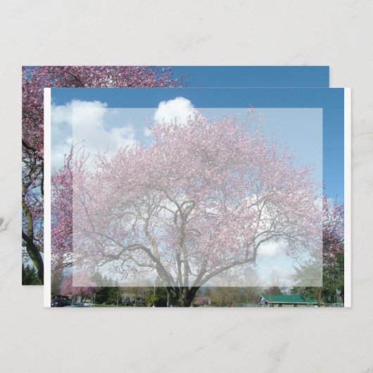 Blindeinladung, Kirschblühen Einladung (Vorne/Hinten)