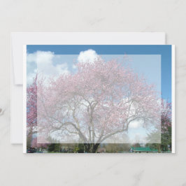 Blindeinladung, Kirschblühen Einladung