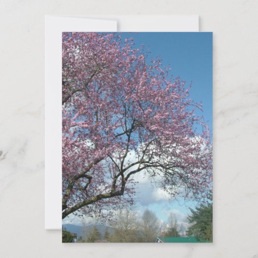 Blindeinladung, Kirschblühen Einladung (Rückseite)