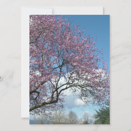 Blindeinladung, Kirschblühen Einladung (Rückseite)