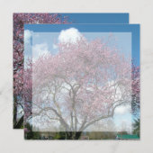 Blindeinladung, Kirschblühen Einladung (Vorne/Hinten)