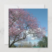 Blindeinladung, Kirschblühen Einladung (Rückseite)