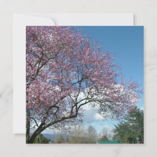 Blindeinladung, Kirschblühen Einladung (Rückseite)