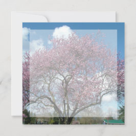 Blindeinladung, Kirschblühen Einladung