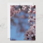 Blindeinladung, Kirschblühen Einladung (Rückseite)