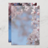 Blindeinladung, Kirschblühen Einladung (Vorne/Hinten)