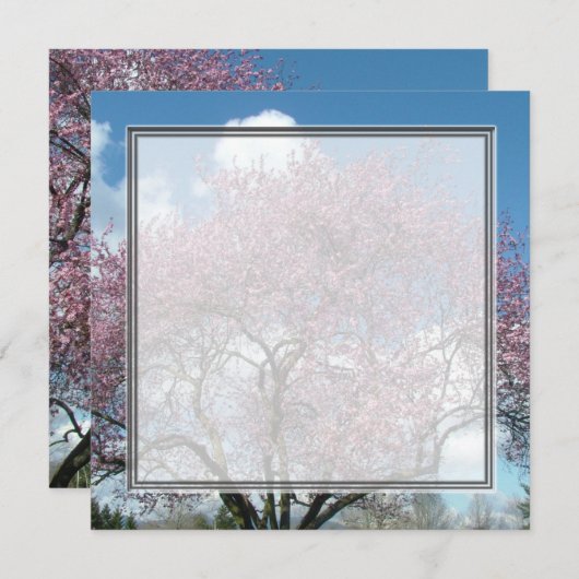 Blindeinladung, Kirschblühen Einladung (Vorne/Hinten)