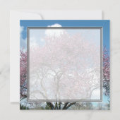 Blindeinladung, Kirschblühen Einladung (Vorderseite)