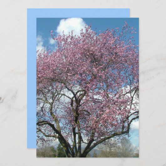 Blindeinladung, Kirschblühen Einladung (Vorne/Hinten)