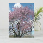 Blindeinladung, Kirschblühen Einladung (Stehend Vorderseite)