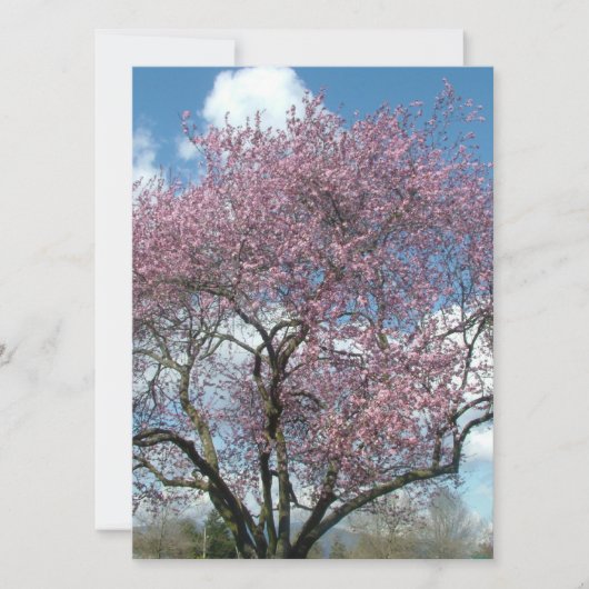 Blindeinladung, Kirschblühen Einladung (Vorderseite)