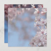 Blindeinladung, Kirschblühen Einladung (Vorne/Hinten)