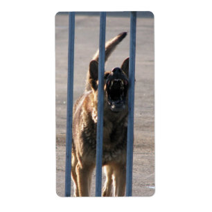 Blindenhund