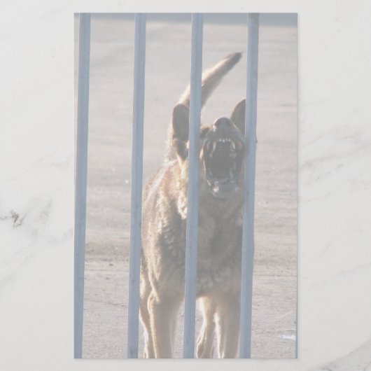 Blindenhund Briefpapier (Vorderseite)