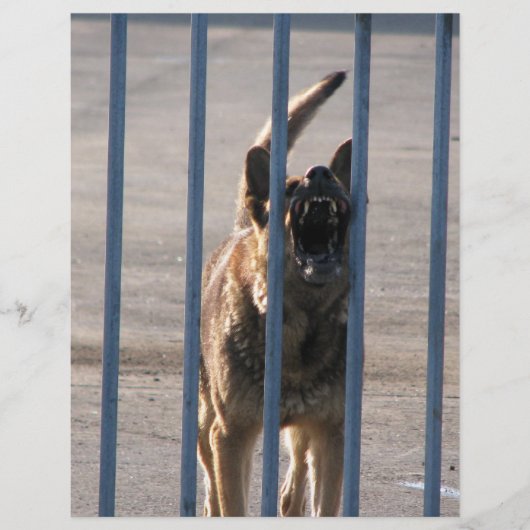 Blindenhund Flyer (Vorne)