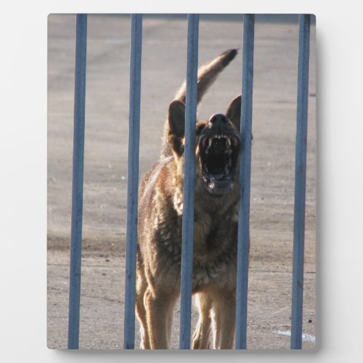 Blindenhund Fotoplatte (Vorderseite)