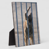 Blindenhund Fotoplatte (Seite)