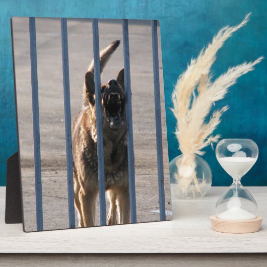 Blindenhund Fotoplatte (Seite)