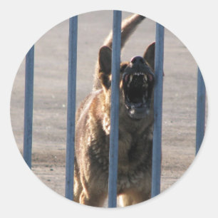 Blindenhund Runder Aufkleber