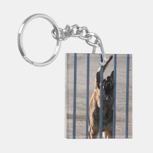 Blindenhund Schlüsselanhänger (Vorderseite links)