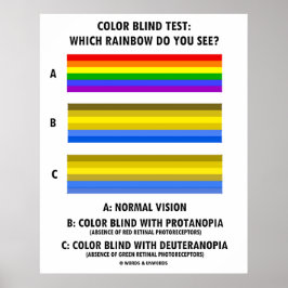 Blinder Farbtest Welche Regenbogen sehen Sie? Poster