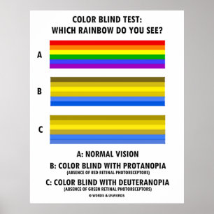 Blinder Farbtest Welche Regenbogen sehen Sie? Poster