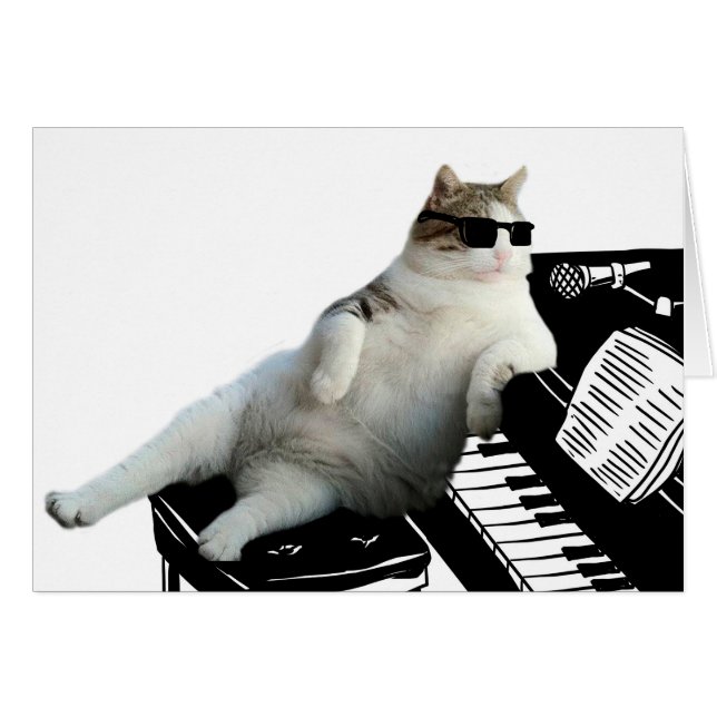 Blinder Katzenpianist (Vorderseite (Horizontal))