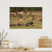 Blindes Hirschposter Poster (Küche)