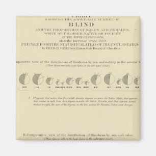 Blindheit, Statistischer Lithograph in den USA 187 Magnet
