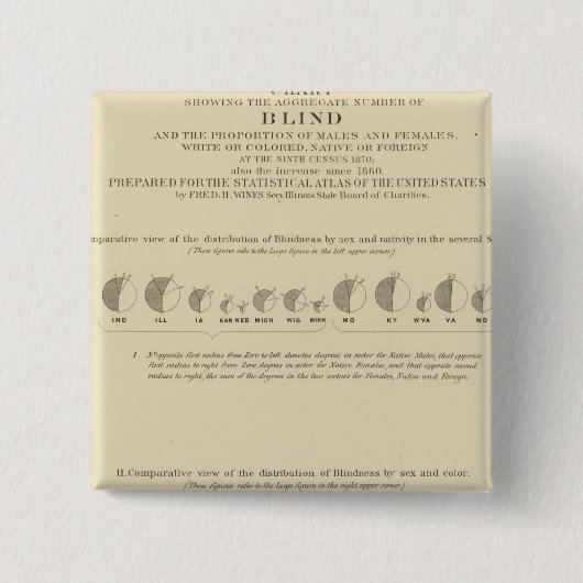 Blindheit, Statistischer US-Lithograph 1870 Button (Vorderseite)