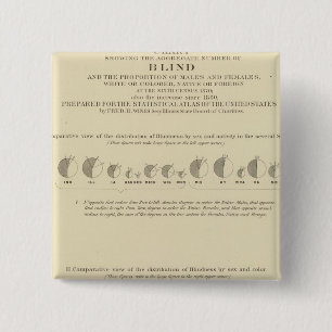 Blindheit, Statistischer US-Lithograph 1870 Button