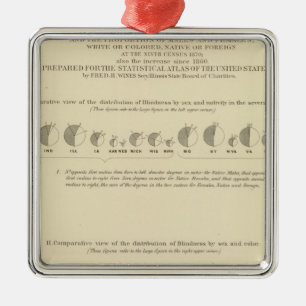 Blindheit, Statistischer US-Lithograph 1870 Silbernes Ornament