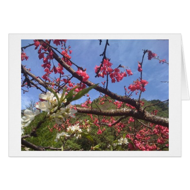 Blindkarte (Vorderseite (Horizontal))