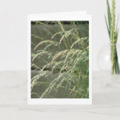 Blindkarte Karte (Vorderseite)