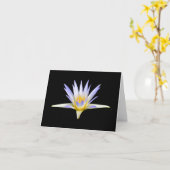 Blindlavender Water Lily Blank Notizkarte Karte (Gelbe Blume)