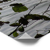 Blindsee im Herbst Poster (Ecke)