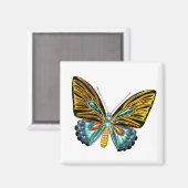 Bling Butterfly Magnet (Vorderseite/Rückseite)