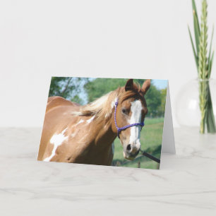 Blinkisch auf der Lungeline Karte