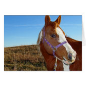 Blinkisch in Nebraka (Vorderseite (Horizontal))