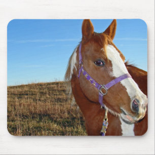 Blinkisch in Nebraka Mousepad