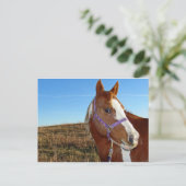 Blinkisch in Nebraka Postkarte (Stehend Vorderseite)