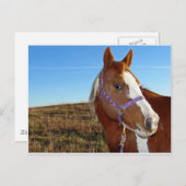 Blinkisch in Nebraka Postkarte (Vorne/Hinten)