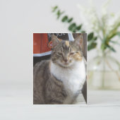 Blinkkatze Postkarte (Stehend Vorderseite)